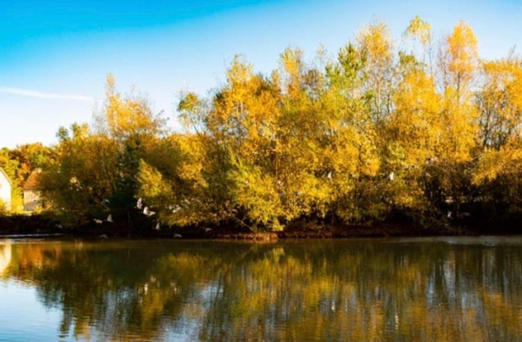 Les Chatelliers Bouzy-la-Foret Exteriör bild
